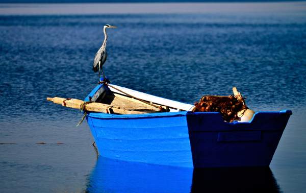 Sea view in Nador