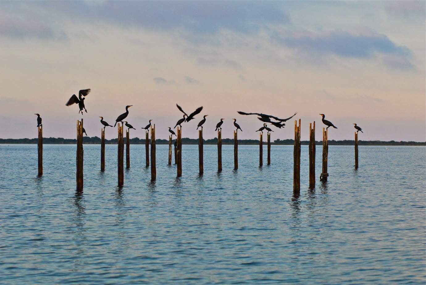 Nador lagoon